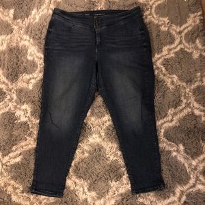 Lane Bryant Skinny Jeans 20W